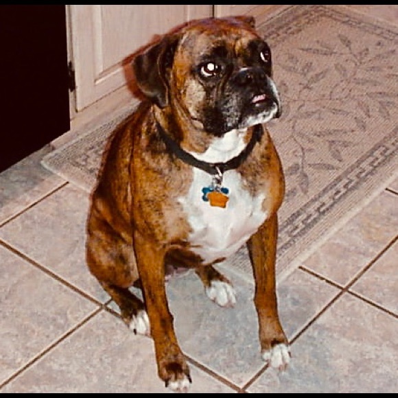 Meet your Posher, Duane - Picture 11 of 12